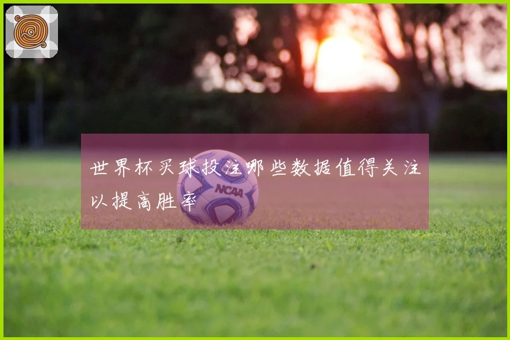世界杯买球投注哪些数据值得关注以提高胜率