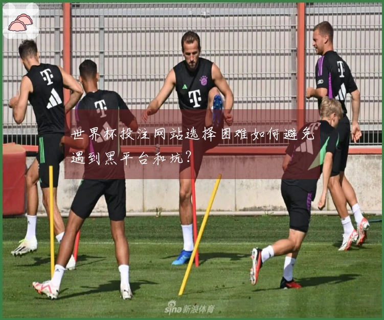 世界杯投注网站选择困难如何避免遇到黑平台和坑？