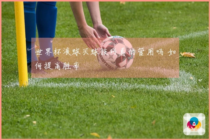 世界杯滚球买球技巧真的管用吗 如何提高胜率