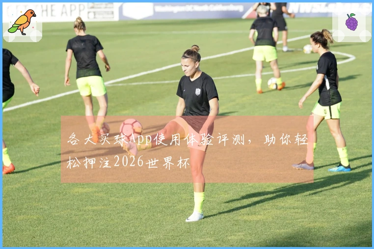各大买球App使用体验评测，助你轻松押注2026世界杯