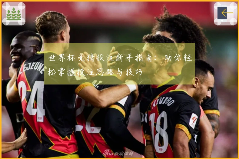 世界杯竞猜投注新手指南：助你轻松掌握投注思路与技巧