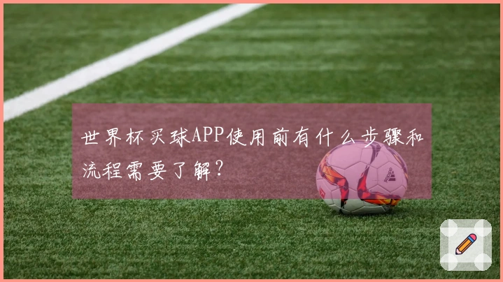 世界杯买球APP使用前有什么步骤和流程需要了解？
