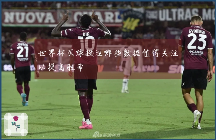 世界杯买球投注哪些数据值得关注以提高胜率
