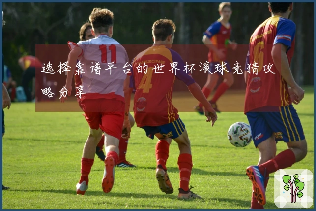 选择靠谱平台的世界杯滚球竞猜攻略分享
