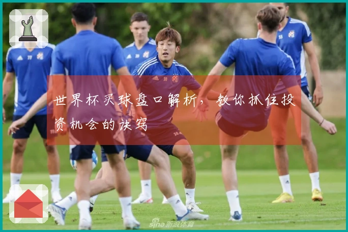 世界杯买球盘口解析，教你抓住投资机会的诀窍