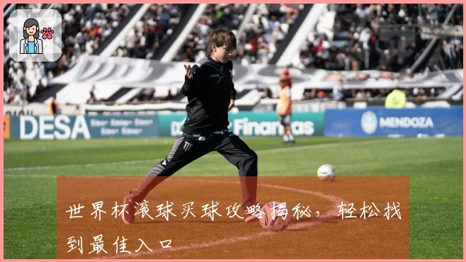 世界杯滚球买球攻略揭秘，轻松找到最佳入口