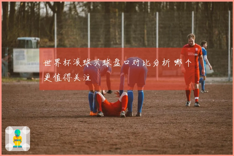 世界杯滚球买球盘口对比分析 哪个更值得关注
