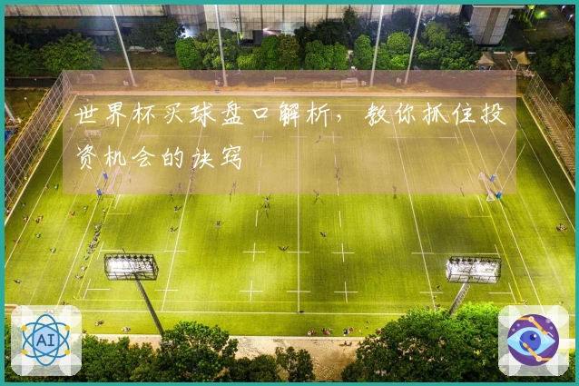 世界杯买球盘口解析，教你抓住投资机会的诀窍