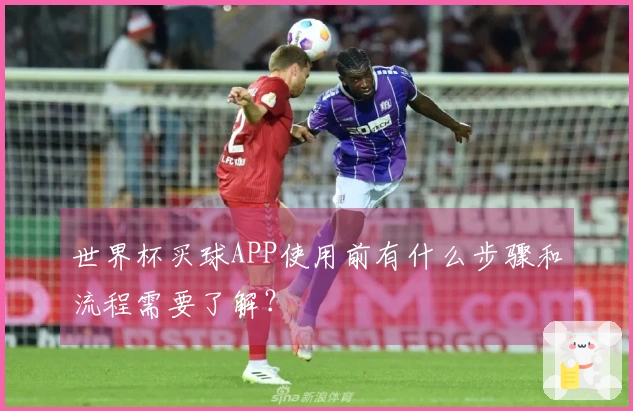 世界杯买球APP使用前有什么步骤和流程需要了解？