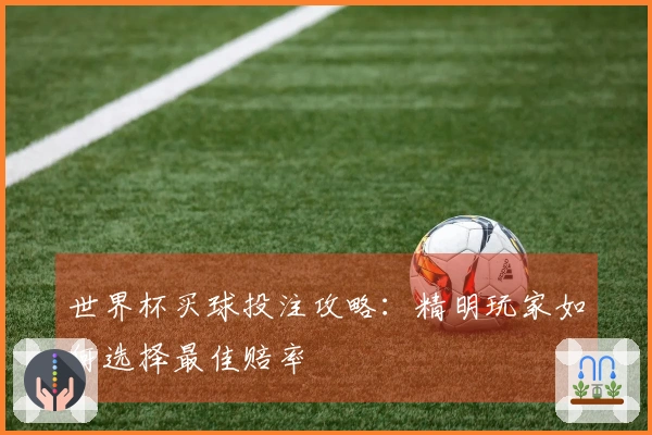 世界杯买球投注攻略：精明玩家如何选择最佳赔率