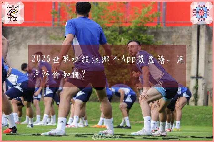 2026世界杯投注哪个App最靠谱，用户评价如何？