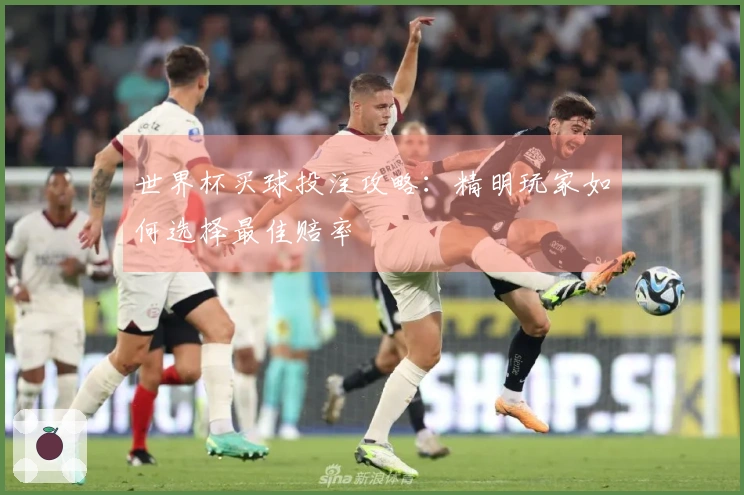 世界杯买球投注攻略：精明玩家如何选择最佳赔率