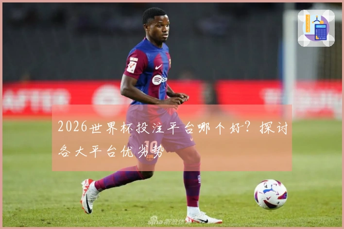 2026世界杯投注平台哪个好？探讨各大平台优劣势
