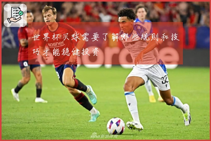 世界杯买球需要了解哪些规则和技巧才能稳健投资
