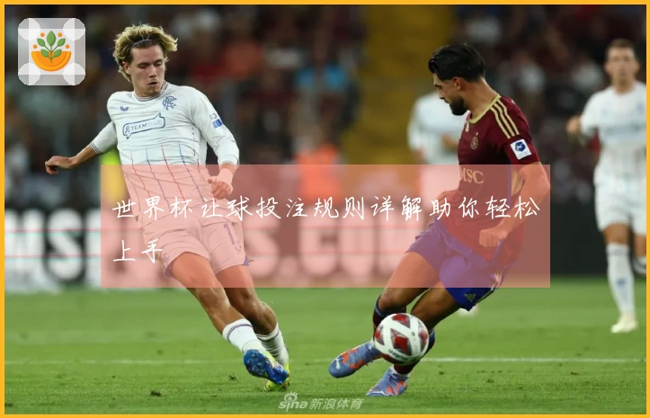 世界杯让球投注规则详解助你轻松上手