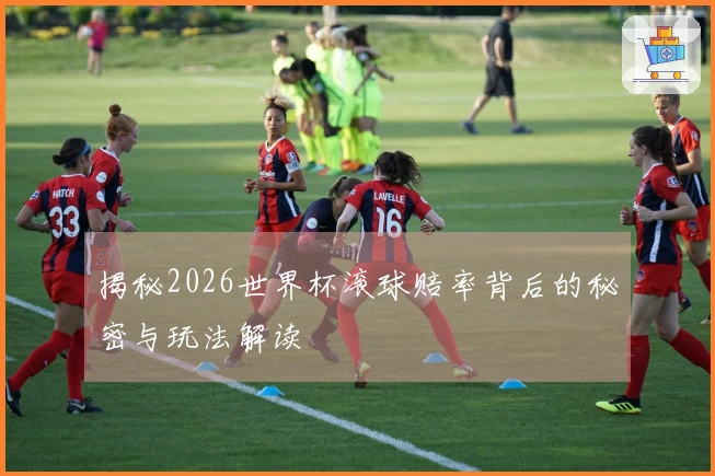 揭秘2026世界杯滚球赔率背后的秘密与玩法解读