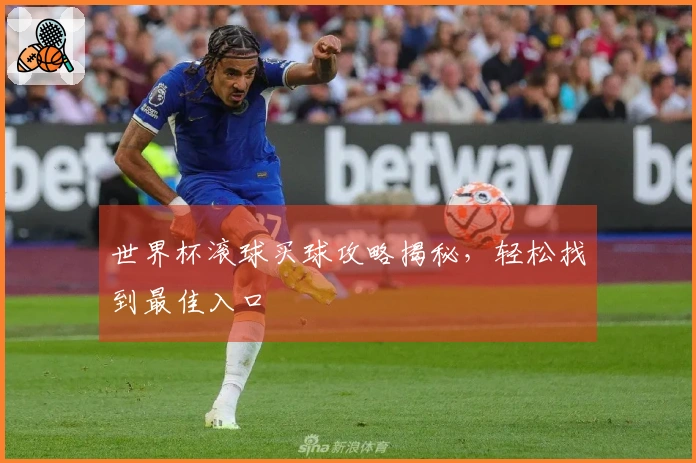 世界杯滚球买球攻略揭秘，轻松找到最佳入口