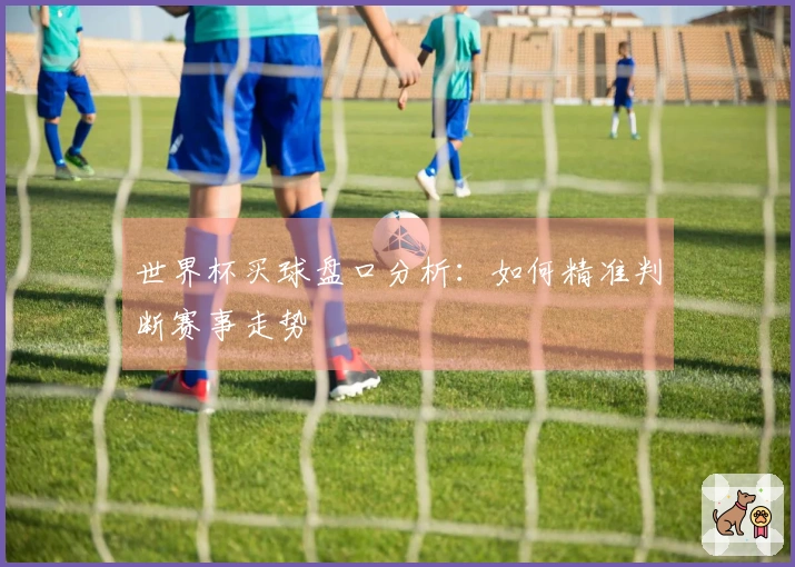 世界杯买球盘口分析：如何精准判断赛事走势