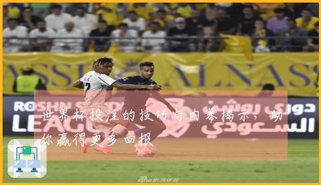 世界杯投注的技巧与内幕揭示,助你赢得更多回报