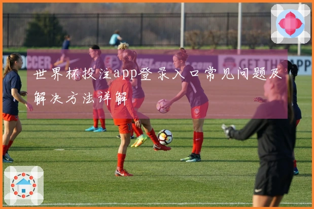 世界杯投注app登录入口常见问题及解决方法详解