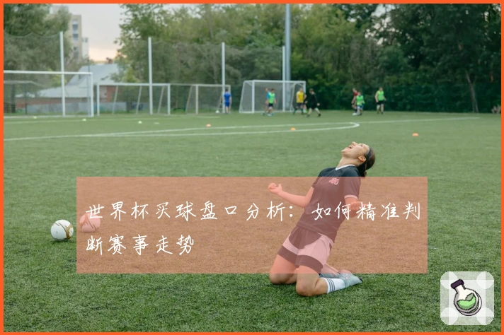 世界杯买球盘口分析：如何精准判断赛事走势