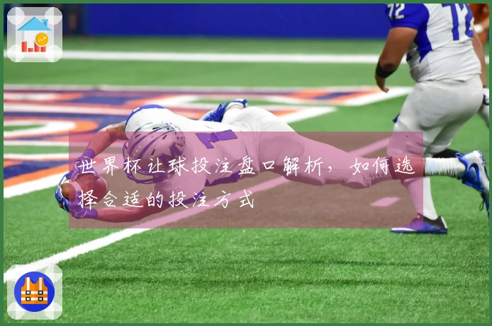 世界杯让球投注盘口解析，如何选择合适的投注方式
