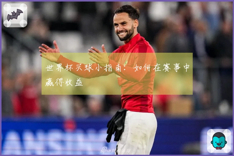 世界杯买球小指南：如何在赛事中赢得收益