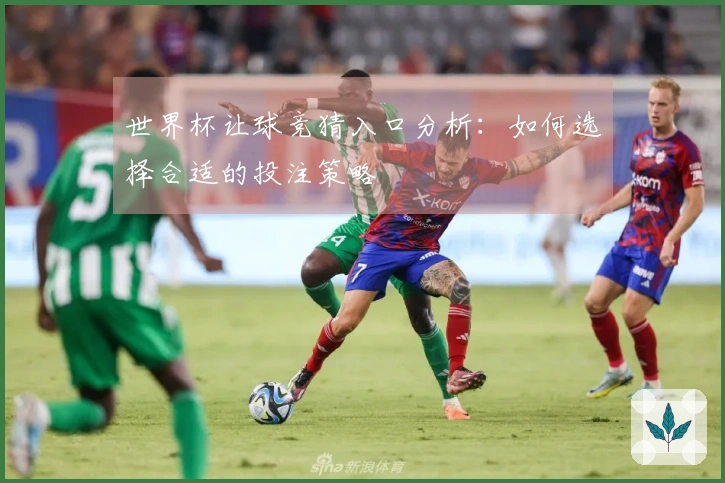世界杯让球竞猜入口分析：如何选择合适的投注策略