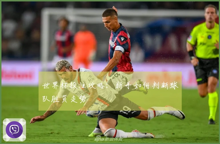 世界杯投注攻略：新手如何判断球队胜负走势