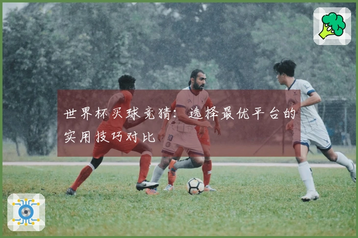 世界杯买球竞猜：选择最优平台的实用技巧对比
