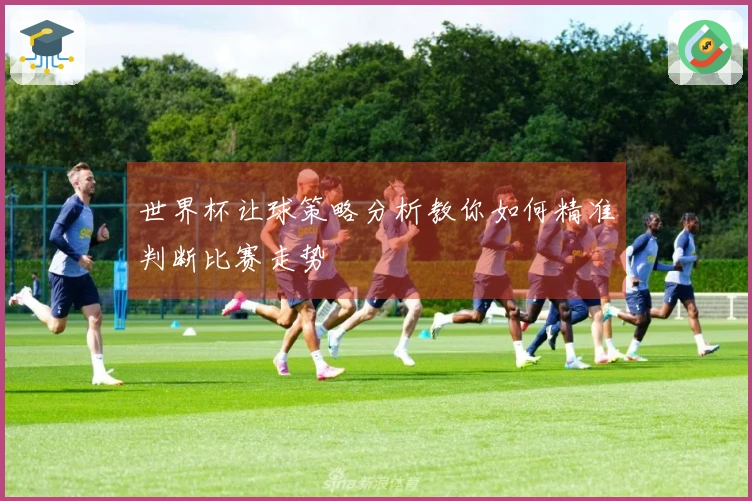 世界杯让球策略分析教你如何精准判断比赛走势