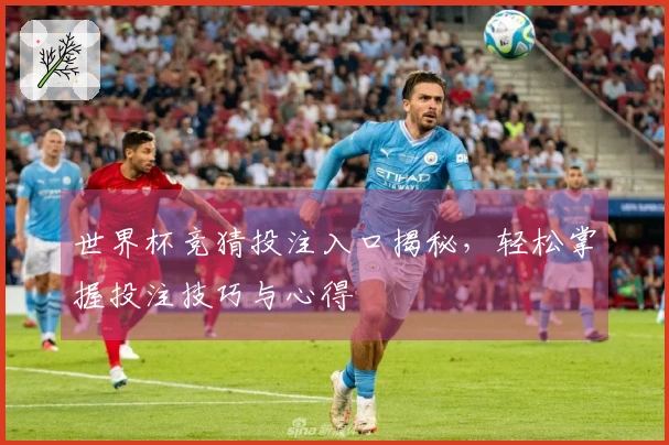 世界杯竞猜投注入口揭秘，轻松掌握投注技巧与心得